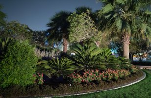 P4 - f1.4 ISO 6400 .jpg