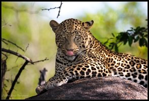 Mmmmmm Dinner ??.jpg