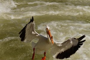 _MG_0364_DxO 8.22.27 PM.jpg