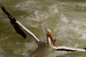 _MG_0365_DxO 8.22.27 PM.jpg