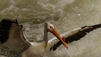 _MG_0366_DxO 8.22.27 PM.jpg