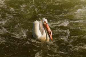 _MG_0313_DxO 8.22.26 PM.jpg