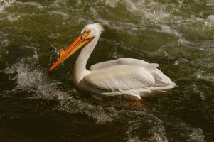 _MG_0316_DxO 8.22.26 PM.jpg