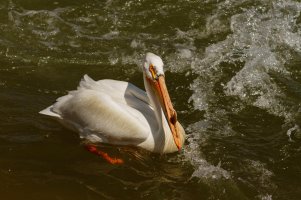 _MG_0319_DxO 8.22.27 PM.jpg