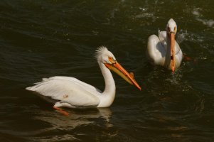 _MG_0324_DxO 8.22.27 PM.jpg