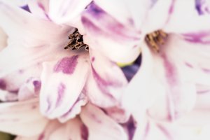 _MG_8787_DxO copy.jpg