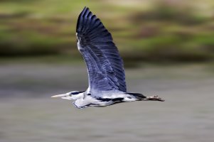 _C2A2128 - Version 2.jpg