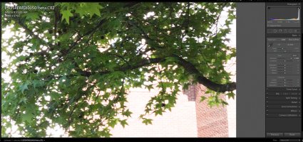 Screen Shot 2015-05-20 at 12.09.15 PM copy.jpg