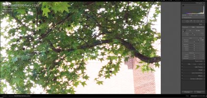 Screen Shot 2015-05-20 at 12.09.27 PM copy.jpg