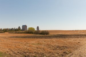 _MG_2094_DxO copy copy.jpg