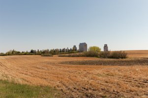 _MG_2095_DxO copy copy.jpg