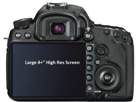 rear.jpg