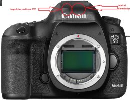 5d.jpg