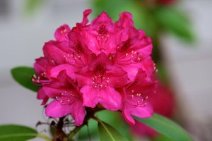 IMG_2252 - 2015-05-25 at 15-05-50.jpg