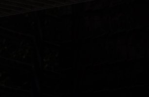 ISO_100_Shadow.jpg