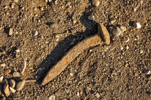 _MG_2547_DxO_Snapseed copy_edited-1.jpg