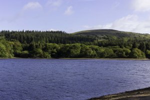 View to Peek Hill, Burrator Reservoir.jpg