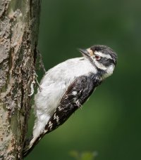 2015_05_25_7D0956 cs6v2.jpg