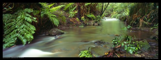 Millards Creek_1.jpg