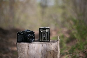 21 Zeiss and 50L.jpg