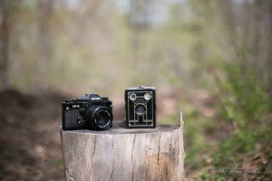21 Zeiss and 50L-2.jpg