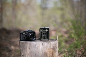 21 Zeiss and 50L-3.jpg