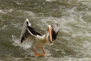 _MG_1784_DxO.jpg