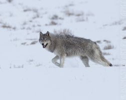 IMG_8943.jpg