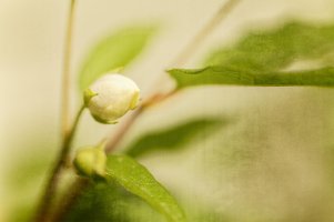 _MG_2694_DxO copy copy.jpg