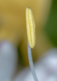 258A2712.jpg