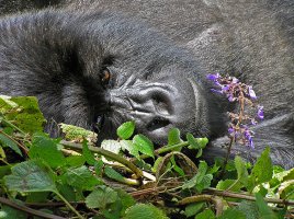 Stop and Smell the Flowers.jpg