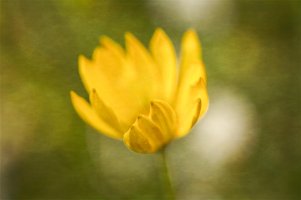 _MG_2189_edit copy copy.jpg