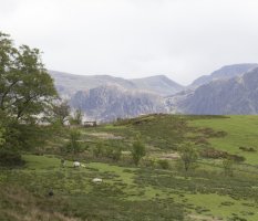 1779 left corner.jpg