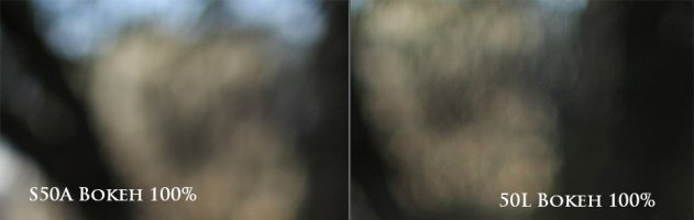 bokeh.jpg