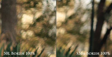 bokeh3.jpg