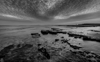 Swamis 2 - 2560X1600.jpg