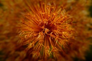 _MG_2657_DxO_DxO copy.jpg