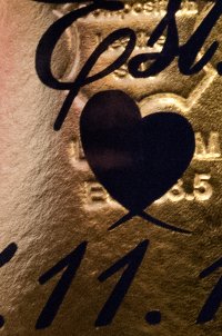 Jessica and Steve-49-3.jpg