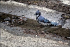 Spring Cleaning - 0002 2000w JPEG.jpg