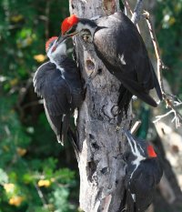 Happy Family_29188.JPG