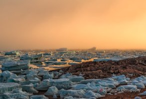 Fog_Icebergs_Sunset.jpg