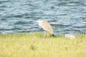 7D test shots-6578.jpg