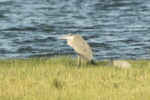 7D test shots-6579.jpg