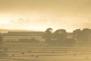 7D test shots-6813.jpg