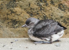 2015_07_13_7D0428 cs6.jpg