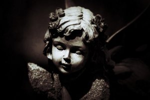 _MG_2940_DxO copy_Snapseed.jpg