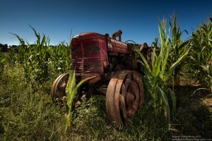 Green Acres - Copy.jpg