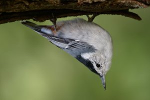154A1663_DxO.jpg