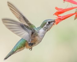 2015_08_23_7D1691 cs6 v2.jpg