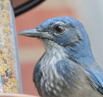 2015_08_23_7D1469 cs6v2.jpg